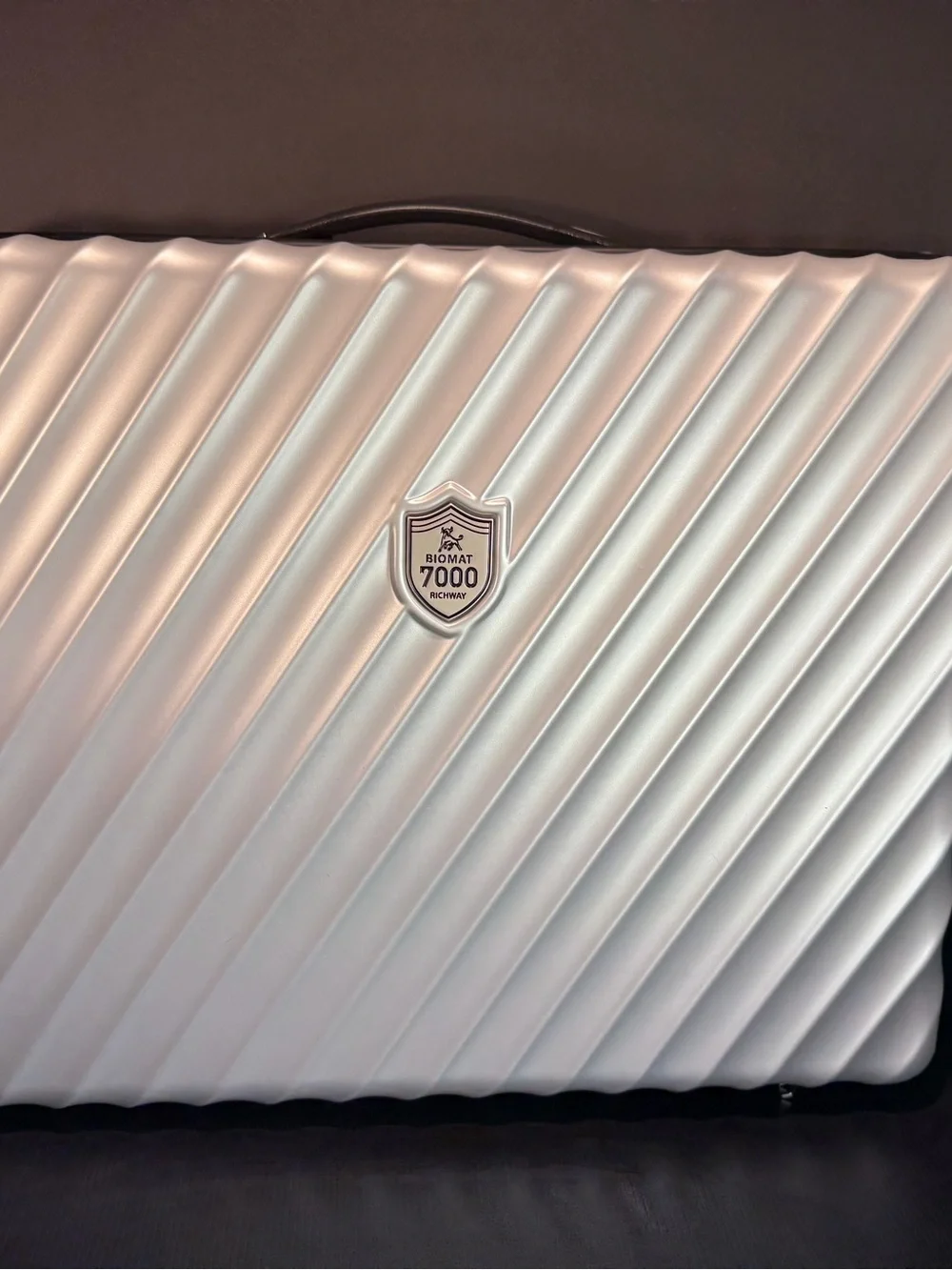 Richway BioMat Mini 7000MX Replacement Hardshell Travel Case Only – Silver